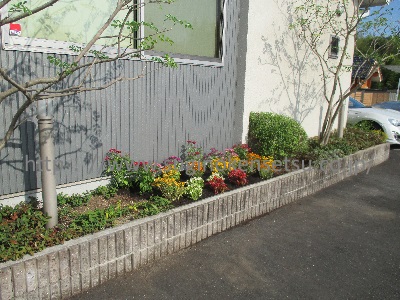 建物横花壇　下草・草花