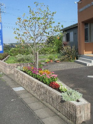 道路沿い花壇　剪定後