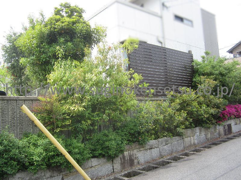 植栽剪定前・道路側